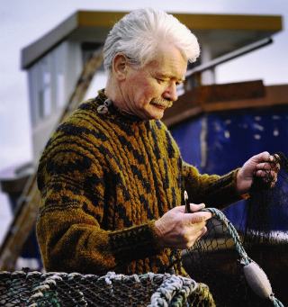 Click to see the yarn