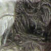 Click to see Jaeger Fur