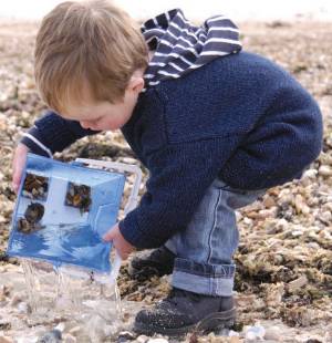 Click to see the yarn