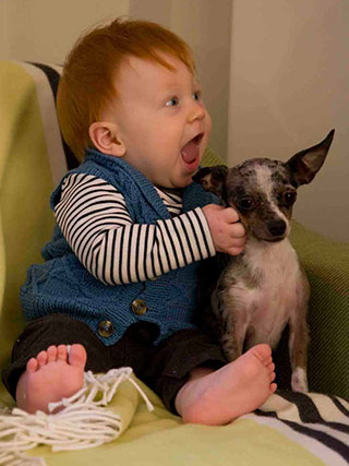 Click to see the yarn