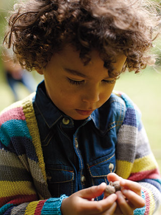 Click to see the yarn