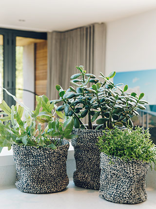 Click to see the yarn